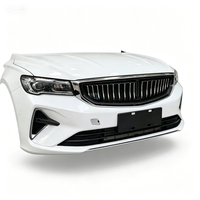 Ricambi Auto per Geely, Coolray, Monjaro e Binyue: Kit Carrozzeria, Paraurti, Cerchioni e Accessori per Veicoli