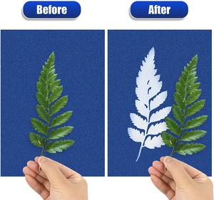 Recharge de papier d'impression solaire A4 10 feuilles de papier cyanotype activé par le soleil/solaire pour les projets de bricolage papier à <span class=keywords><strong>dessin</strong></span> d'art - Product Image 4