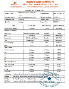 Astrawell - Extracto de Melena de León Orgánico en Polvo, Suplemento Nootrópico para la Salud Cerebral, 30% Polisacáridos, a Granel, OEM - Product Image 2