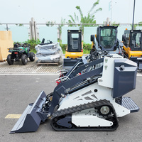Mini-chargeuse sur chenilles CE EPA Euro 5 avec godet hydraulique, livraison gratuite, pour les acheteurs européens du secteur de la construction et de l'agriculture