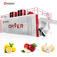 30T/D Fruit & Groente Drooglijn Bakoven 304 RVS Automatische Hoge Efficiëntie Snijmachine Gaasbanddroger Machine