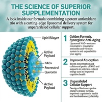 Gouttes liquides de supplément liposomal NAD+ haute puissance anti-âge à marque privée OEM pour la régénération cellulaire et la santé cérébrale