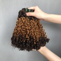 Haute qualité Super Double dessiné vierge cuticule aligné Vietnam cheveux faisceaux Pixie bouclés T4/30/4 couleur