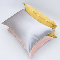 Taies d'oreiller en soie de mûrier 100 % OEM en gros, 22 Momme, motif dessin animé, couleur et logo personnalisables, toutes saisons, coffret cadeau
