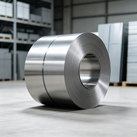 Bobinas de Acero Inoxidable Modernas y Duraderas a Bajo Precio, Estándar ASTM 301L 301 304N 310S, Laminadas en Frío, Superficie 2B