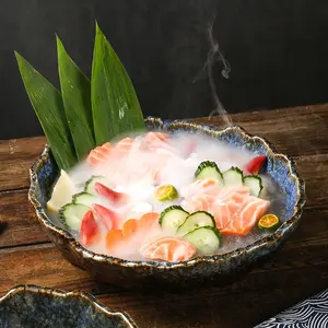 بيع بالجملة إبداعي ساشيمي طبق ثلج جاف الأواني الفخارية طبق السلمون الياباني المأكولات البحرية السوشي عشاء الأواني أطباق المطعم وأطباق