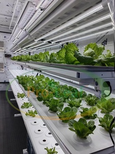 Conteneur hydroponique mobile pour fermes verticales Pro-Leaf/pour laitue salade/micro légumes/isolation d'usine - Product Image 6