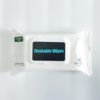 Lingettes jetables biodégradables non parfumées pour adultes, lingettes humides pour l'hygiène intime, lingettes nettoyantes pour les fesses, prix d'usine