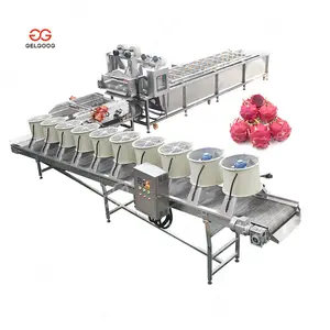 Auto Bubble Spray Vegetable Ginger Washer Plant Dragon Fruit Washing Machine