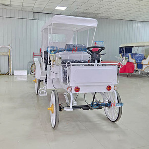 High Quality Tourism Pure White Black Seat Sightseeing Carriage, Tourist Attractions, Hotels, Sightseeing Carriage - Product Image 2