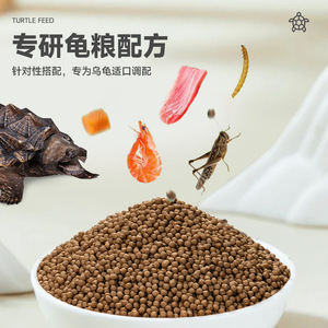 Nourriture pour tortues crocodiles, ronde, riche en protéines, pour renforcer les coques, pour l'alimentation des reptiles - Product Image 1