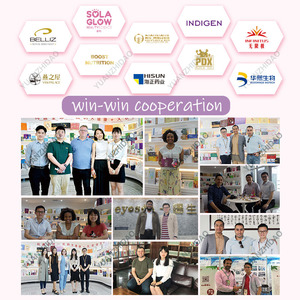 משקה גמילה 89 + פירות קשת ירקות ירקות סופר מזון סיבים פרביוטיים תה רזה ניהול משקל תוספת תווית פרטית - Product Image 4