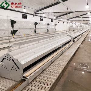 Nueva Tolva de Alimentación de Plástico PP Avanzada con Diseño de Material Innovador para la Cría de Aves de Corral Moderna - Product Image 5