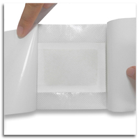 Patchs Détoxifiants Jetables aux Herbes Certifiés CE OEM 12x10cm – Soulagement de la Pression pour Adultes – Export Corée Japon