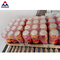 XINMAO 4000-6000CPH Ligne de remplissage et de mise en conserve entièrement automatique pour boissons gazeuses et bières en canettes – Projet de production