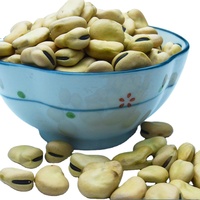 Fèves de Chine de petite taille, prix des fèves