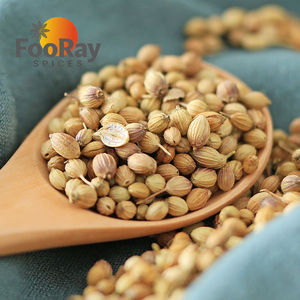 Semi di Coriandolo Naturali FooRay, Materie Prime Intere, Vendita all'Ingrosso, Standard di Esportazione per Approvvigionamento B2B Globale - Product Image 1