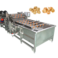 Automatische 304 roestvrijstalen ozon fruitbellenwasmachine Industriële bladgroente was- en reinigingsmachine