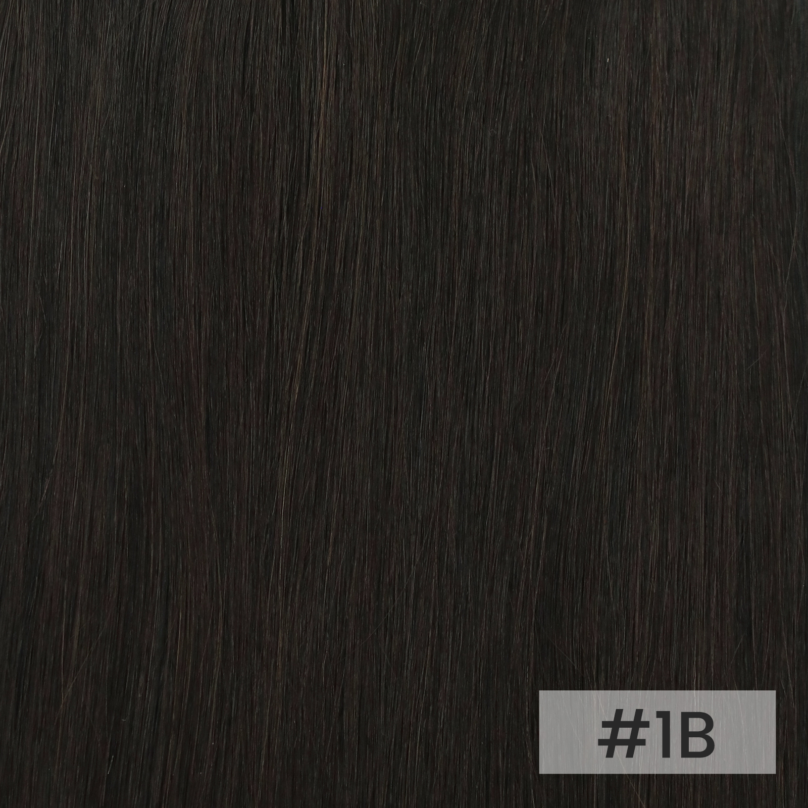 # 1B