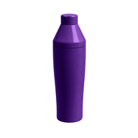 Offres Mixeurs Thermiques pour Cocktails – Ensemble de 3 Shakers de Bar en Acier Inoxydable – Gobelet Mélangeur 25oz/750ml