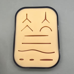 Silicone Skin Suturing Practice Pad Modelo Alvo Ciência Médica para Sutura Treinamento e Educação - Product Image 1