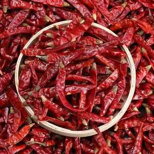 Ớt đỏ khô gia vị cao cấp chất lượng cao cho gia vị ngành công nghiệp thực phẩm nấu ăn số lượng lớn và xuất khẩu tự nhiên - Product Image 5