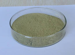 Usa Magazijn Broccoli Extract 10:<span class=keywords><strong>1</strong></span> 20:<span class=keywords><strong>1</strong></span> 100:<span class=keywords><strong>1</strong></span> Broccoli Sap Powderhoge Kwaliteit 10% Sulforafaan Poeder Super Groen Poeder - Product Image 4