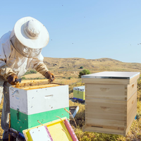 Prix usine Langstroth Bee Hive Kit Équipement d'apiculture pour ruche langstroth 10 cadre