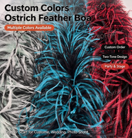 Boa en plumes d'autruche bicolore, écharpe en plumes naturelles moelleuses pour spectacle, carnaval, fête, costume de scène, décoration de robe de mariée