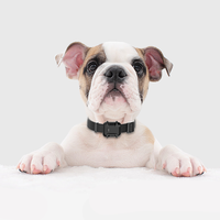 Nuevo Rastreador GPS para Mascotas 4G de Lujo, Reflectante, con Sistema de Seguridad Antirrobo, Resistente al Agua IP67, con Tarjeta SIM, SMS, Monitor de Actividad Física