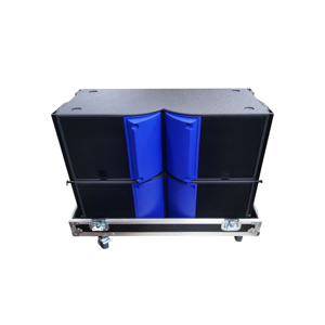 Enceinte portable à ligne acoustique à deux voies de 12 pouces, 800 W, néodyme, étanche, contrôlée par application, pour les soirées DJ - Product Image 5