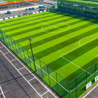 Direkt vom Hersteller 50mm Fußball-Kunstrasen Verstärkter Synthetischer Rasen mit Hoher Elastizität Sportteppich