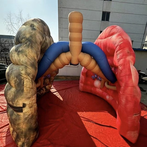 Exhibición Educativa Antitabaco: Comparación <span class=keywords><strong>de</strong></span> Pulmón Saludable <span class=keywords><strong>y</strong></span> Pulmón <span class=keywords><strong>de</strong></span> <span class=keywords><strong>Fumador</strong></span> Gigante Inflable <span class=keywords><strong>de</strong></span> Tela Oxford - Product Image 5