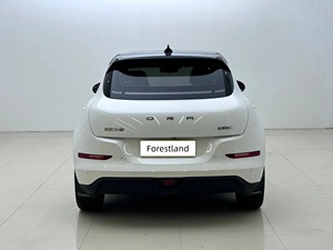 <span class=keywords><strong>Ora</strong></span> Good <span class=keywords><strong>Cat</strong></span> 2024 401km Édition Luxe Électrique Pliable Coffre Extensible Compact Rétro EV Carrosserie Flexible Facile à Stationner - Product Image 5