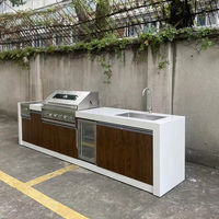 Barbecue Grill Big Meat Roaster Poêle Grill Machine BBQ Grill Viande Kebab Roaster Fours de luxe et armoires combinées Barbecue