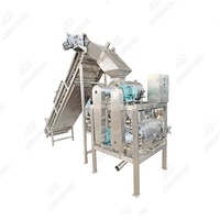 Rvs Acai Bessen Pulp Slijpmachine/Bosbessen Pulping Machine