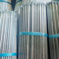 M6*300 M6*480 Carbon Steel 4.8 Grade Zinc Plated Galvanized Double Head Thread Stud Rod Extra Long Screw