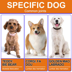 Oimmal hipdog köpek Pet kalça eklem sağlık ördek lezzet takviyeleri Chews <span class=keywords><strong>Chondroitin</strong></span> 150ps Pet sağlık takviyesi - Product Image 3