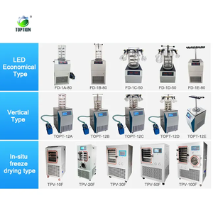 Industrial Vacuum <b>Freeze</b> Dryer Laboratory Vacuum Drying <b>Equipment</b> Food Processor Price - Product Image 4