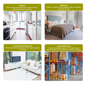 Trampas <span class=keywords><strong>para</strong></span> Ratas de Plástico Desechables Ecológicas en Stock y Trampas Adhesivas <span class=keywords><strong>para</strong></span> <span class=keywords><strong>Ratones</strong></span> con Pegamento Superadhesivo <span class=keywords><strong>para</strong></span> Supermercados, Restaurantes y Cafeterías - Product Image 5