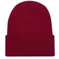 Bonnets et chapeaux d'hiver en tricot côtelé épais, chauds et extensibles, pour hommes et femmes, parfaits pour les sports d'hiver en plein air