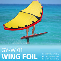 Offre Spéciale Haute Qualité Kitesurf Gonflable Aile Surf Feuille Hydroptère Windsurf Cerf-Volant Vent Surfeur Conseil Voile Hydroptère Wingfoil