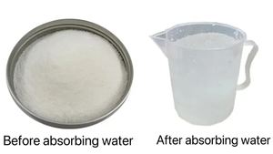 Granulés de polymère super absorbant en caoutchouc de sap de bambou et de coco hydrogel - Product Image 3