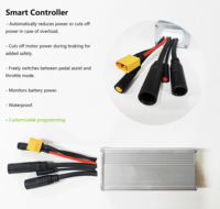 Moteur intégré standard EU 14 pouces 24V 36V 48V 250W 350W pour vélo électrique vélo pliant pièce de bricolage