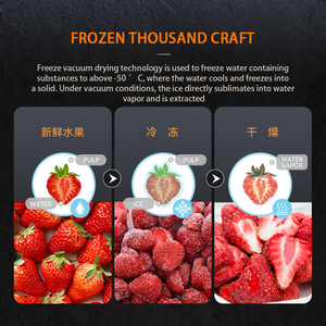 Liofilizador Doméstico Pequeño para Mascotas, Frutas, Verduras, Carne y Líquidos, Liofilizador al Vacío para Uso Doméstico, Conserva la Frescura - Product Image 6