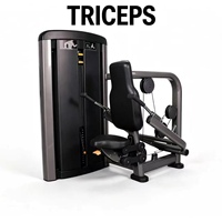 Offre Spéciale : Machine Commerciale à Triceps avec Poids, Extension de Triceps, Équipement de Fitness pour Entraînement des Bras, Vente en Gros Direct Usine