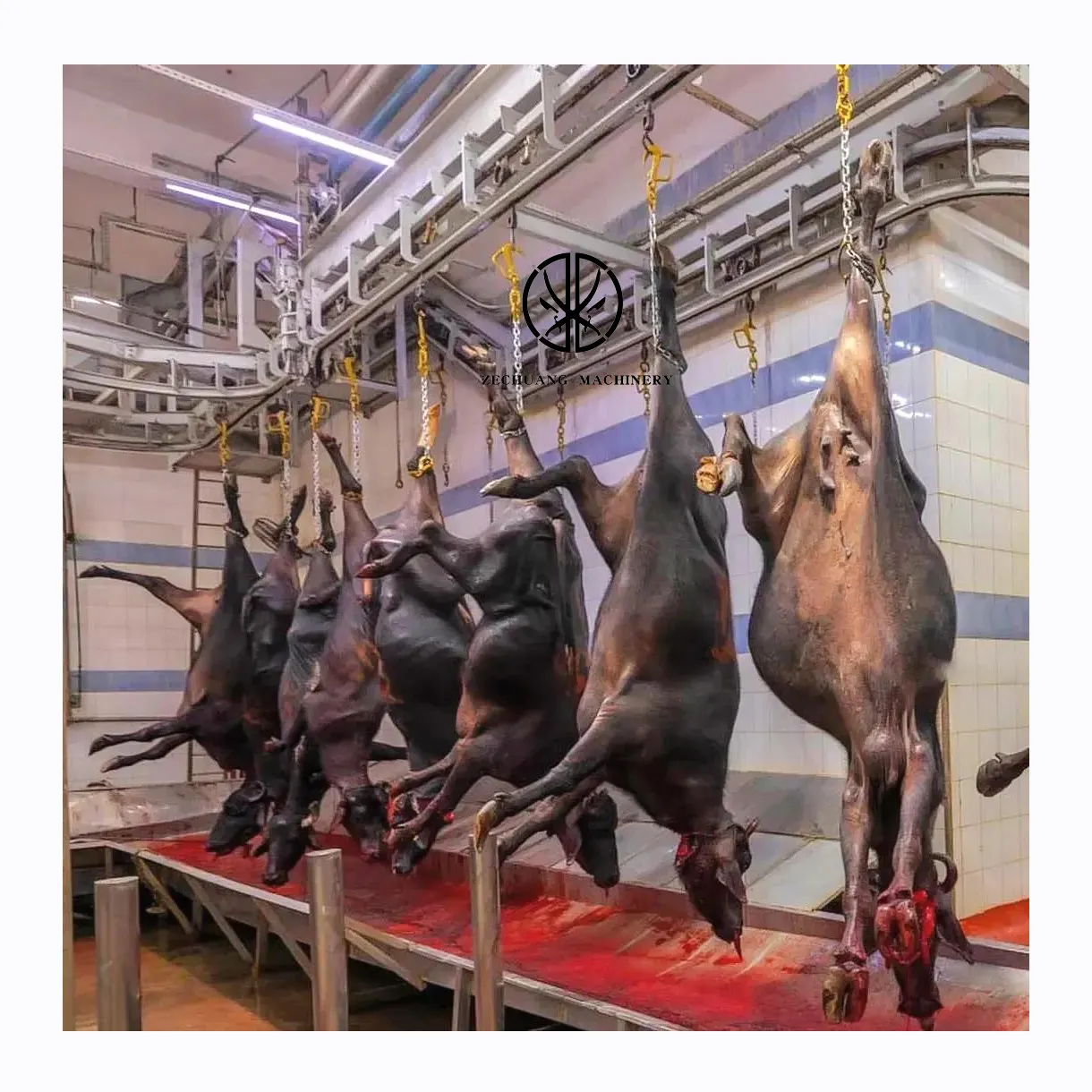 Customized Complete Halal Beef Slaughtering Machines Automatic Bleeding Conveyor For Bull Abattoir Equipment