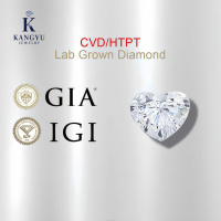 Stokta Kalp Şeklinde IGI CVD/HTPT Elmas 0.3CT-6CT Yüksek Kalite Laboratuvarda Yetiştirilmiş Renk D Çoklu Boyutlar /IGI Sertifikalı Takı Yapımı İçin