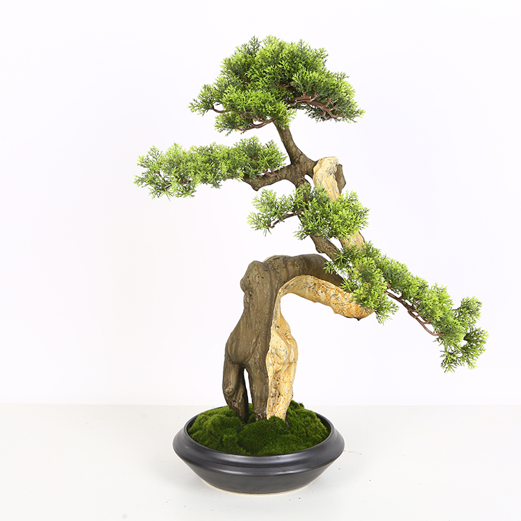 Expédition rapide D'arborvitae Cèdre Thuya Cyprès Feuilles Plante Bonsaï artificiel bureau plante