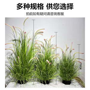 Plantas Artificiales de Césped Cola de Zorro en Maceta, 70-120 cm de Altura, Simulación Realista, Decoración Interior, Accesorios de Fotografía - Product Image 4